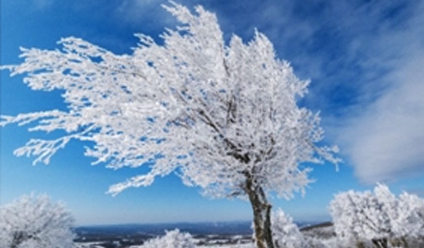 TÜRKİYE'NİN METEOROLOJİDE 2025 YILI REKORLARI AÇIKLANDI