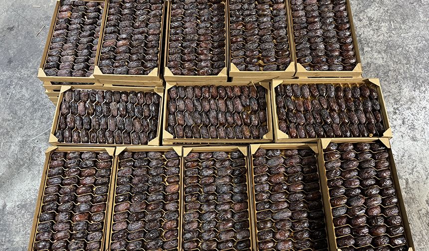 Filistinli yetkililer işgalci hurmalarının Filistin etiketiyle pazarlandığı uyarısında bulundu