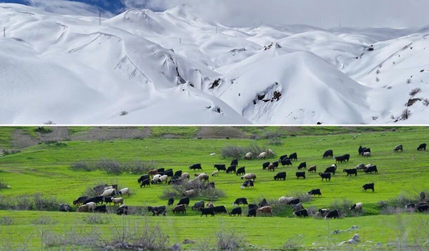 BİR TARAFTA BAHAR DİĞER TARAFDA KIŞ YAŞANIYOR
