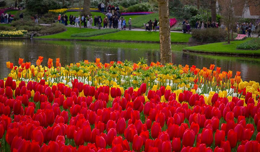 DÜNYANIN EN BÜYÜK LALE BAHÇESİ ZİYARETE AÇILDI