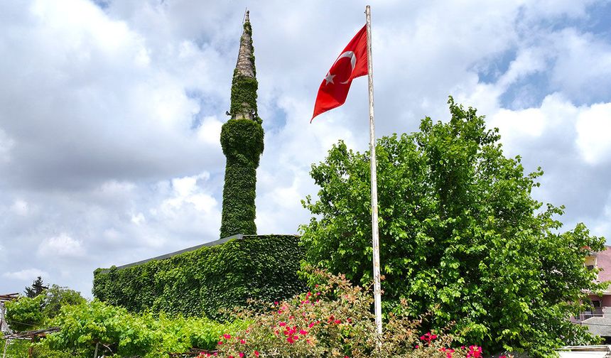 SARMAŞIK KAPLI CAMİİ YEŞİLLENDİ
