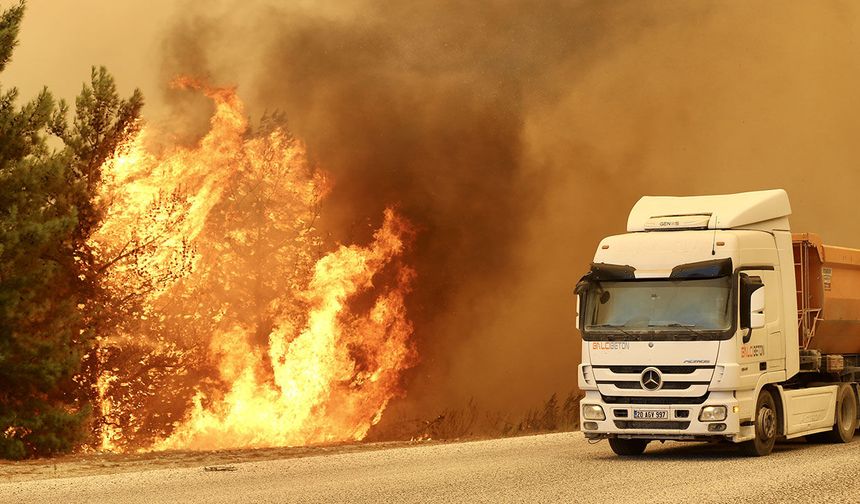Muğla'nın Seydikemer ilçesinde orman yangını çıktı