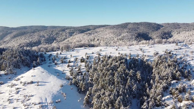 Bolu Abant'ta orman ve yaylalarda kar şöleni - 2022