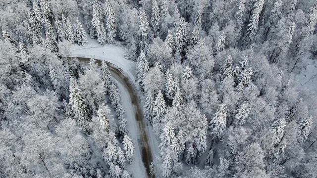 Bolu Abant'ta orman ve yaylalarda kar şöleni - 2022