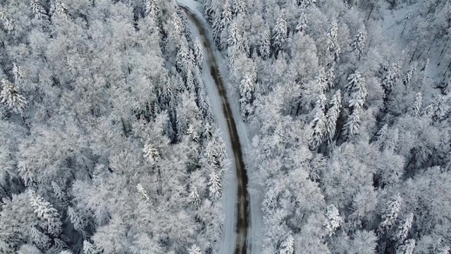Bolu Abant'ta orman ve yaylalarda kar şöleni - 2022