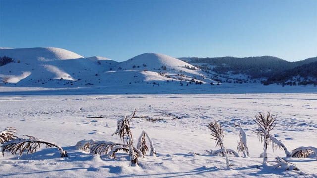 Bolu Abant'ta orman ve yaylalarda kar şöleni - 2022