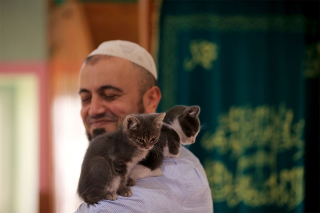 Kırklareli'nin Ahmetçe köyünde imamlık yapan Hüseyin Koçak, caminin kapılarını soğuk günlerde kediler için de açıyor.