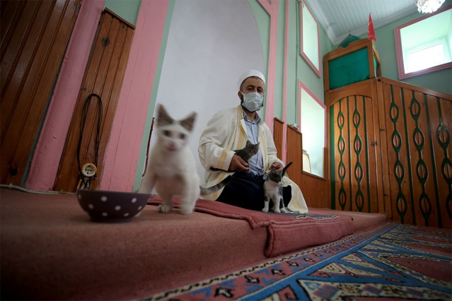 Cemaatin de kabul etmesiyle caminin kapılarını kedilere açtığını anlatan Koçak, "Bizler de sevgili Peygamberimizin hadislerinden, büyüklerimizden duyduğumuz üzere hayvanlara, kedilere, köpeklere sahip çıkmaya çalışıyoruz. Onlar da can, onlar da bizim gibi canlı. Allah onlar için 'benim dilsiz kullarım' diye buyuruyor. Onlar dilsiz ama biz dilsiz değiliz, biz sağır değiliz. Onların aç olduğunu, susuz olduğunu duyuyoruz, biliyoruz. Merhameti, vicdanı olan herkes bizim yaptığımızı yapar." diye konuştu.