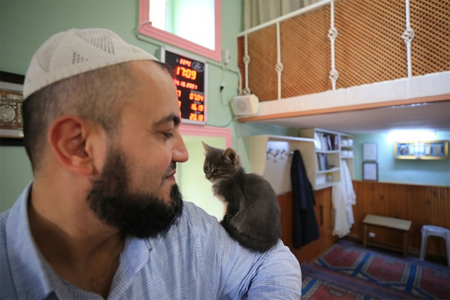 Hayvansever imam caminin kapılarını kedilere açtı