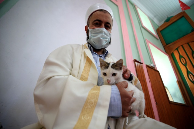 "Kediler bazen namazda geliyorlar, secde ederken ayaklarımızın altına girip etrafımızda oynuyor, yanımızda yatıyorlar. Hayvanlar güven duyduğu insanın yanına sokulur, ona yaklaşır. Hayvan da olsa bizden korkmamalı, bize sevgisini gösteriyorsa biz de elimizin tersiyle itemeyiz, ona zarar veremeyiz. Ona iyilikle yaklaşmak, tepkisiz kalmamak lazım. Açsa karnını doyurmamız, susuzsa suyunu vermemiz, eğer bir yerinde yara varsa da aynı şekilde görevimizi yapmamız lazım. Çünkü onun dili yok, söyleyemiyor. Cemaatimizden Allah razı olsun herkes canlara karşı duyarlılar. Hasta olanlara, kısırlaştırılacaklara hepsine yetişmeye çalışıyoruz."