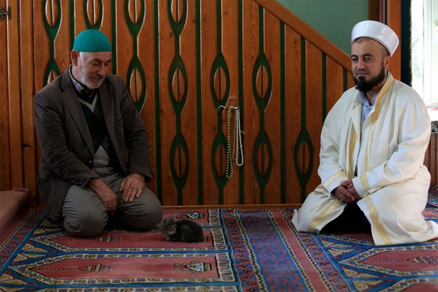 "Kediler bazen namazda geliyorlar, secde ederken ayaklarımızın altına girip etrafımızda oynuyor, yanımızda yatıyorlar. Hayvanlar güven duyduğu insanın yanına sokulur, ona yaklaşır. Hayvan da olsa bizden korkmamalı, bize sevgisini gösteriyorsa biz de elimizin tersiyle itemeyiz, ona zarar veremeyiz. Ona iyilikle yaklaşmak, tepkisiz kalmamak lazım. Açsa karnını doyurmamız, susuzsa suyunu vermemiz, eğer bir yerinde yara varsa da aynı şekilde görevimizi yapmamız lazım. Çünkü onun dili yok, söyleyemiyor. Cemaatimizden Allah razı olsun herkes canlara karşı duyarlılar. Hasta olanlara, kısırlaştırılacaklara hepsine yetişmeye çalışıyoruz."