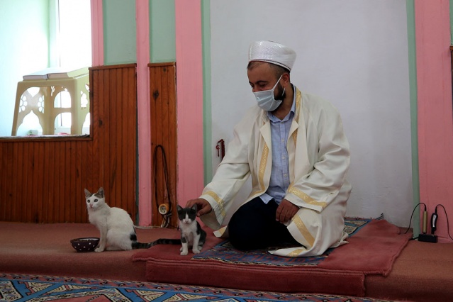"Kediler bazen namazda geliyorlar, secde ederken ayaklarımızın altına girip etrafımızda oynuyor, yanımızda yatıyorlar. Hayvanlar güven duyduğu insanın yanına sokulur, ona yaklaşır. Hayvan da olsa bizden korkmamalı, bize sevgisini gösteriyorsa biz de elimizin tersiyle itemeyiz, ona zarar veremeyiz. Ona iyilikle yaklaşmak, tepkisiz kalmamak lazım. Açsa karnını doyurmamız, susuzsa suyunu vermemiz, eğer bir yerinde yara varsa da aynı şekilde görevimizi yapmamız lazım. Çünkü onun dili yok, söyleyemiyor. Cemaatimizden Allah razı olsun herkes canlara karşı duyarlılar. Hasta olanlara, kısırlaştırılacaklara hepsine yetişmeye çalışıyoruz."