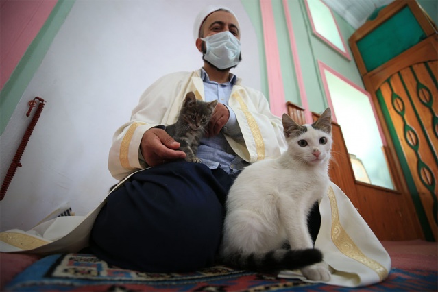 "Kediler bazen namazda geliyorlar, secde ederken ayaklarımızın altına girip etrafımızda oynuyor, yanımızda yatıyorlar. Hayvanlar güven duyduğu insanın yanına sokulur, ona yaklaşır. Hayvan da olsa bizden korkmamalı, bize sevgisini gösteriyorsa biz de elimizin tersiyle itemeyiz, ona zarar veremeyiz. Ona iyilikle yaklaşmak, tepkisiz kalmamak lazım. Açsa karnını doyurmamız, susuzsa suyunu vermemiz, eğer bir yerinde yara varsa da aynı şekilde görevimizi yapmamız lazım. Çünkü onun dili yok, söyleyemiyor. Cemaatimizden Allah razı olsun herkes canlara karşı duyarlılar. Hasta olanlara, kısırlaştırılacaklara hepsine yetişmeye çalışıyoruz."