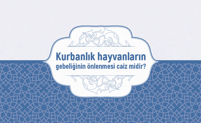 Kurbanlık hayvanların gebeliğinin önlenmesi caiz midir?