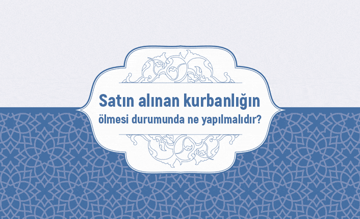 Satın alınan kurbanlığın ölmesi durumunda ne yapılmalıdır?