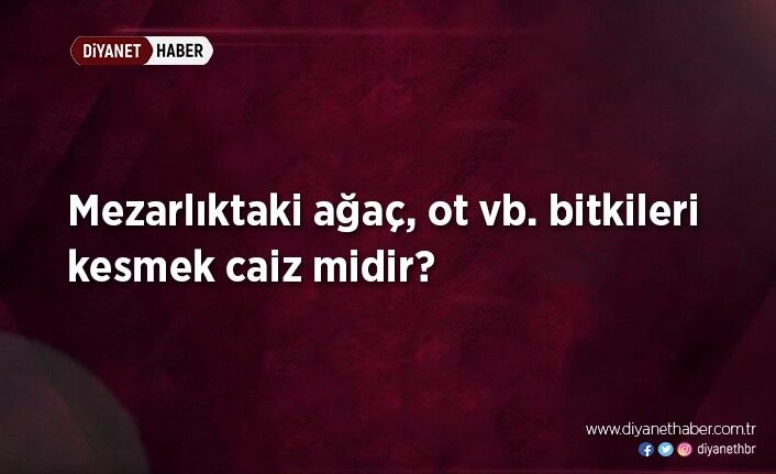 Mezarlıktaki ağaç, ot vb. bitkileri kesmek caiz midir?