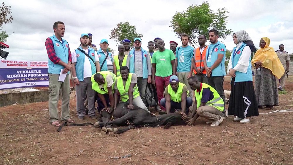 Cumhurbaşkanı Erdoğan'ın kurbanı kesildi