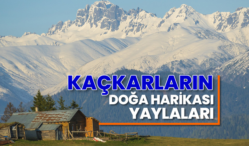 Kaçkarların doğa harikası yaylaları