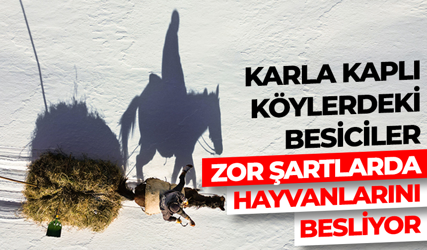 Van'da karla kaplı köylerdeki besiciler zor şartlarda hayvanlarını besliyor