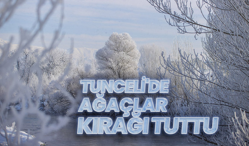 Tunceli'de ağaçlar kırağı tuttu