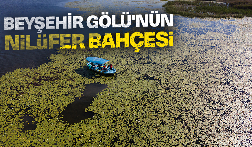 Beyşehir Gölü'nün ''nilüfer bahçesi''