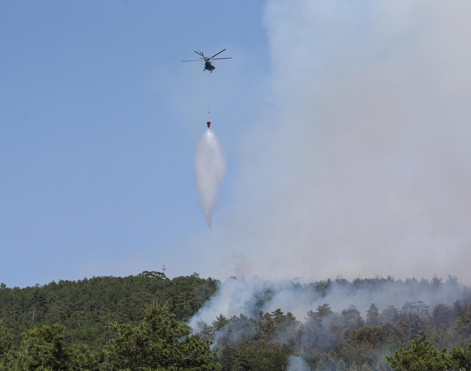 Bursa'da Çıkan Orman Yangınına Müdahale Ediliyor (2)