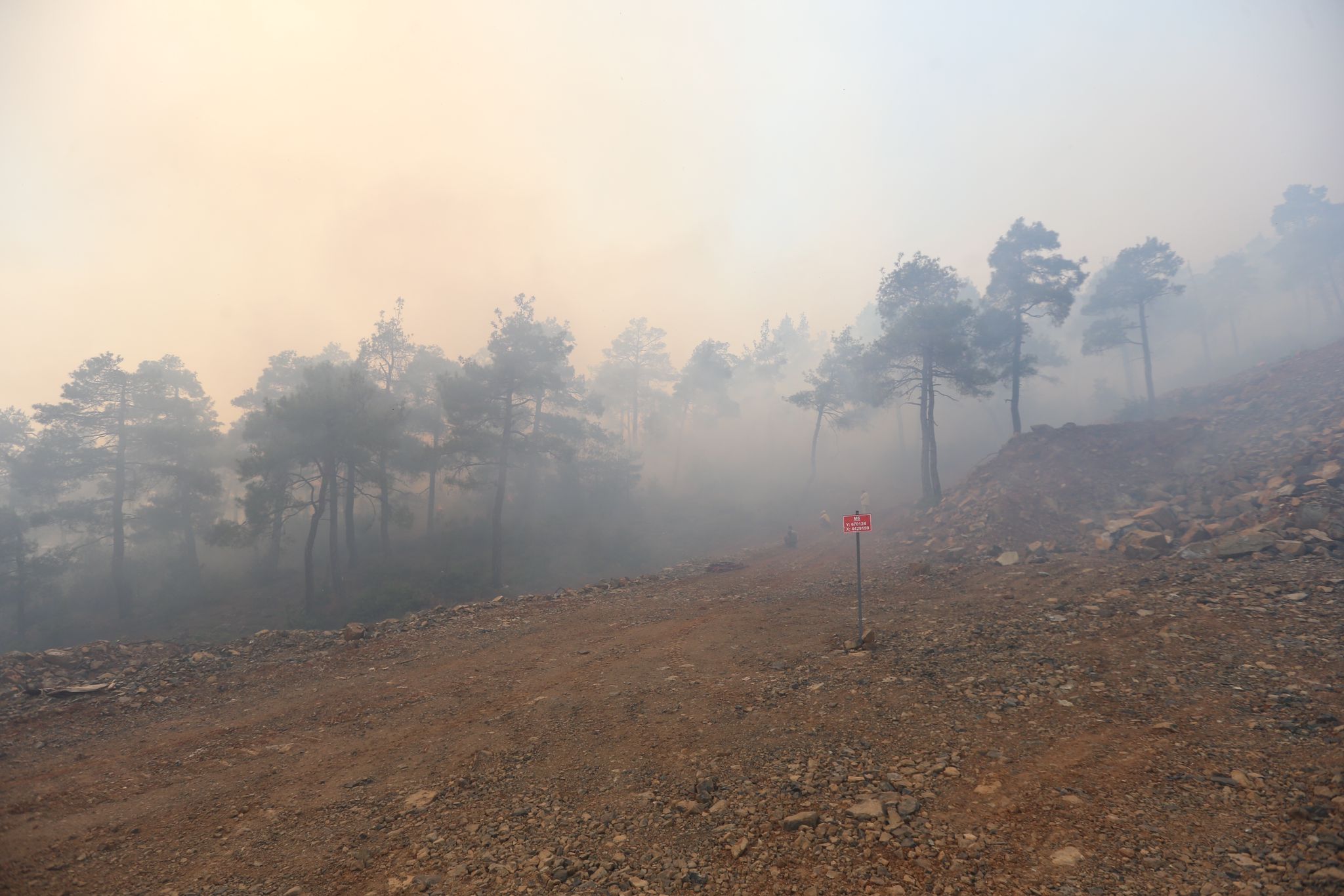 Bursa'da Çıkan Orman Yangınına Müdahale Ediliyor (3)