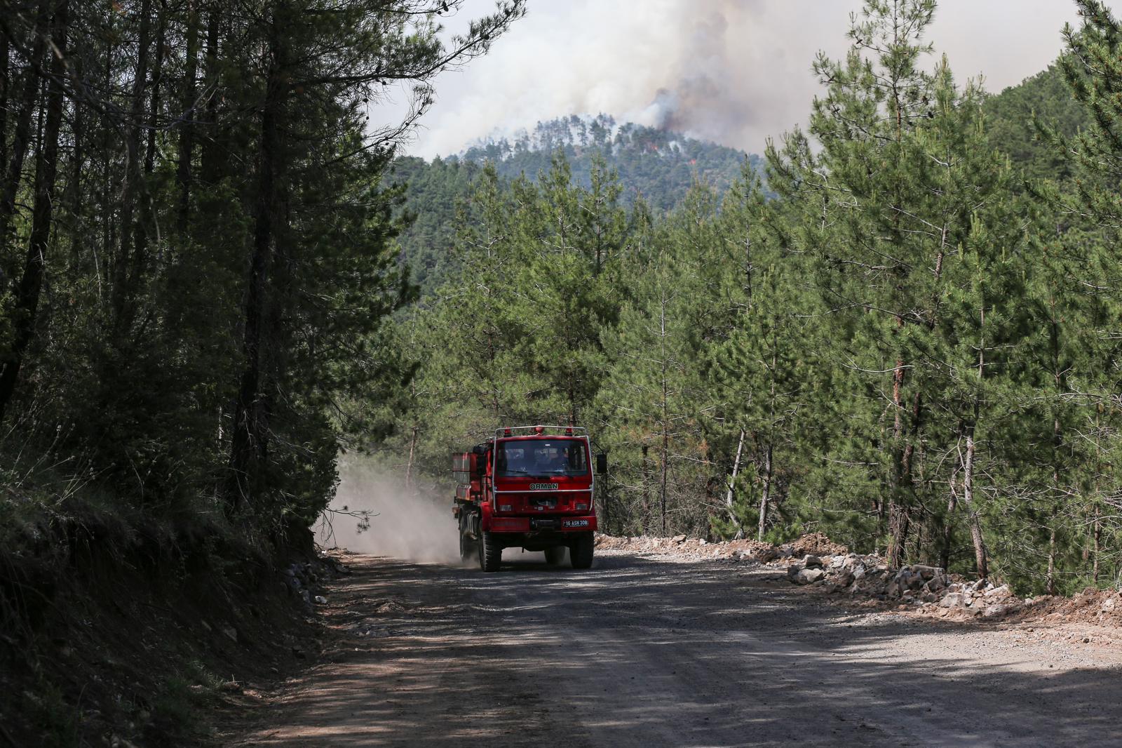 Bursa'da Çıkan Orman Yangınına Müdahale Ediliyor (5)