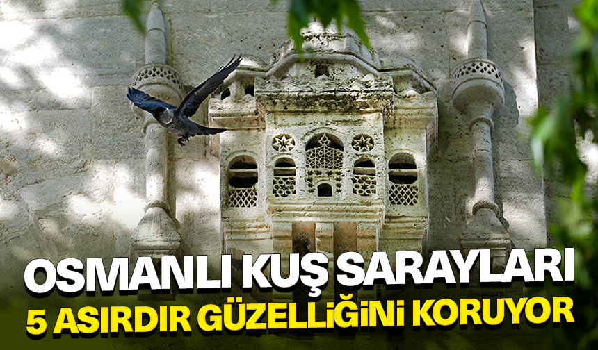 Osmanlı kuş sarayları 5 asırdır güzelliğini koruyor