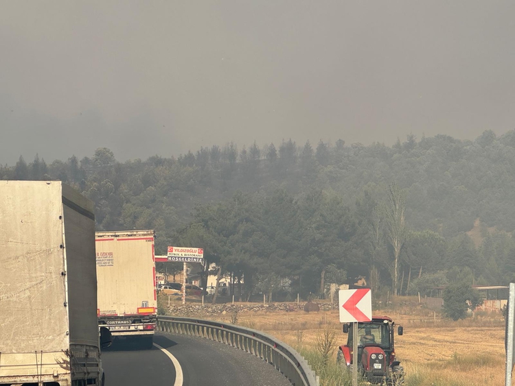 Uşak'ta Tarım Arazisinde Çıkan Yangın Ormana Sıçradı (4)