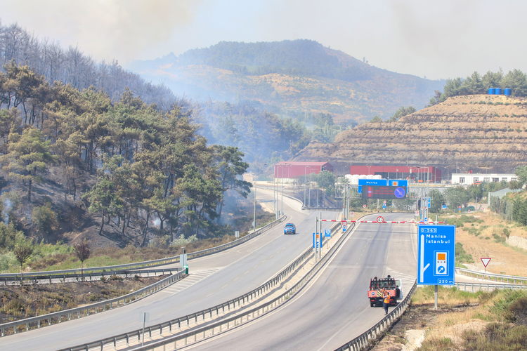 İzmir Bornova'da Çıkan Orman Yangınına Müdahale Ediliyor 4