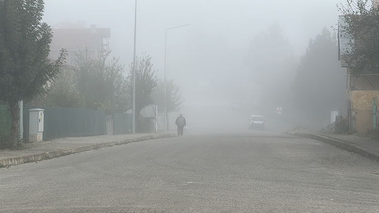 Düzce Ve Karabük'te Sis Etkili Oldu 3