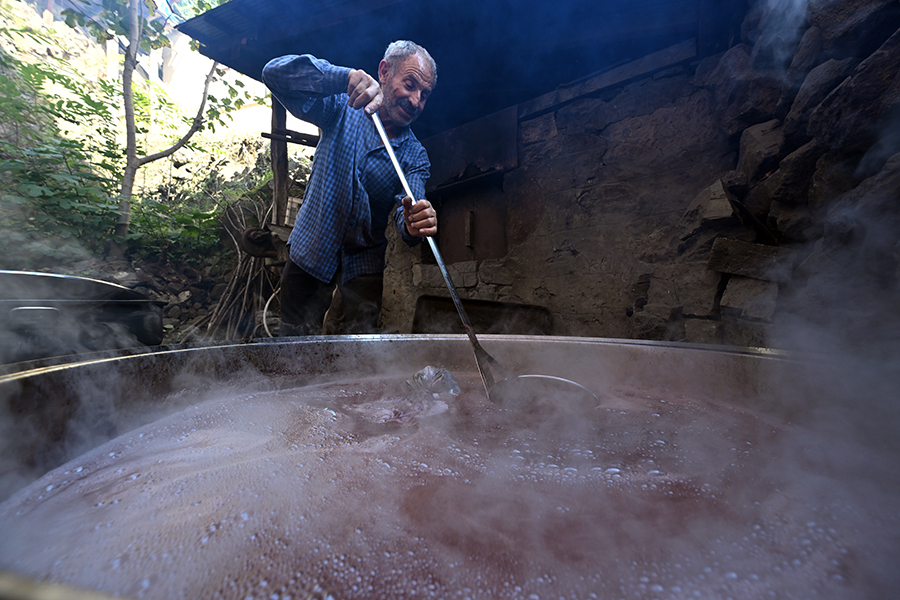 2024.10.02 Karadeniz'e Özgü Kokulu Üzümden Tatlı Ve Ekşi Pekmez Üretiliyor (3)