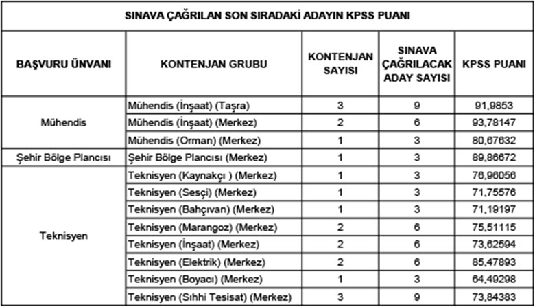 2024 Yılı Mühendis, Şehir Bölge Plancısı Ve Teknisyen Sınavı İstatistiki Veriler