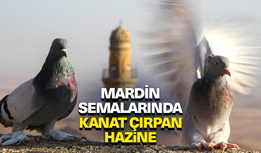 Mardin semalarında kanat çırpan hazine