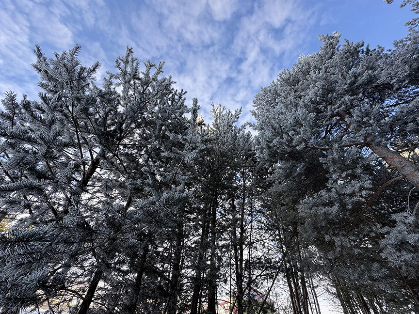 Erzurum, Ardahan, Ağrı Ile Kars'ta Kırağı Ve Buzlanmalar Oluştu 2