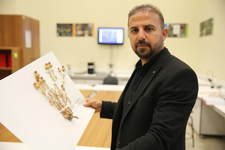 Şırnak'ta Bulunan Bitki 12 Yıllık Çalışma Sonucu Literatüre Kazandırıldı 3