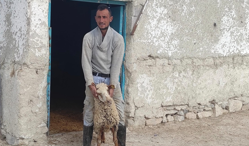 Gazzeye Bağışladılar 11