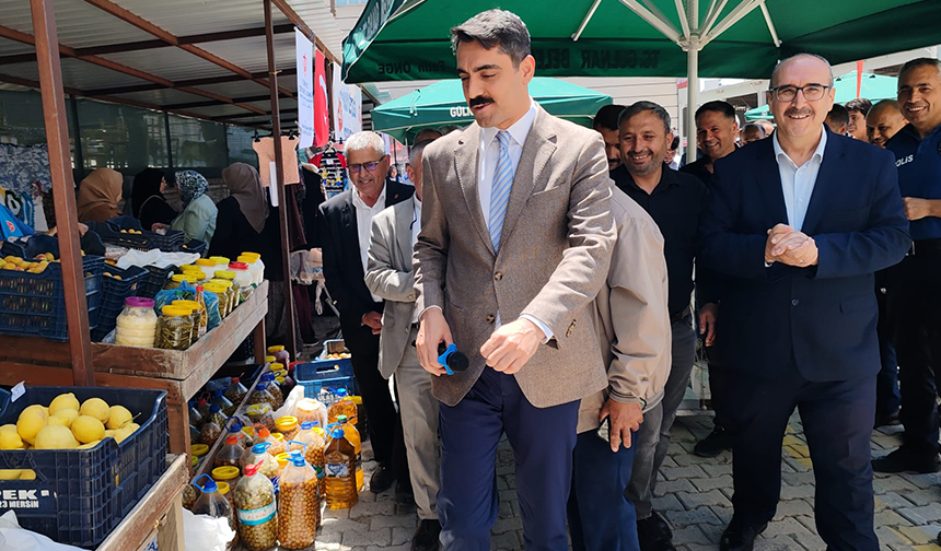 Gülnar Kermes 33