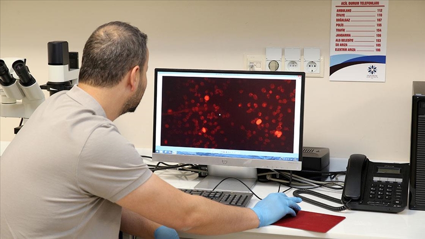 Bilim Insanları, Alzheimer Hastalığını Kan Tahliliyle Erken Teşhis Için Çalışıyor 2
