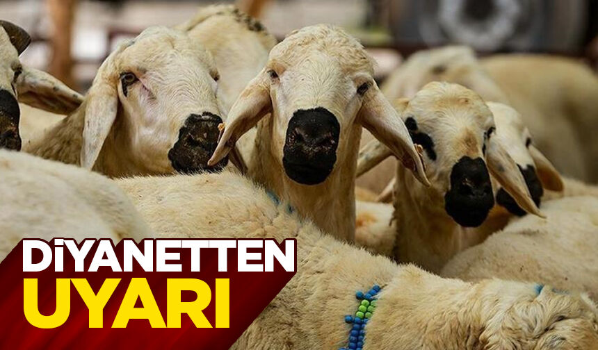 Diyanetten "bayram namazı öncesi kesilen kurbanlar geçersizdir" uyarısı