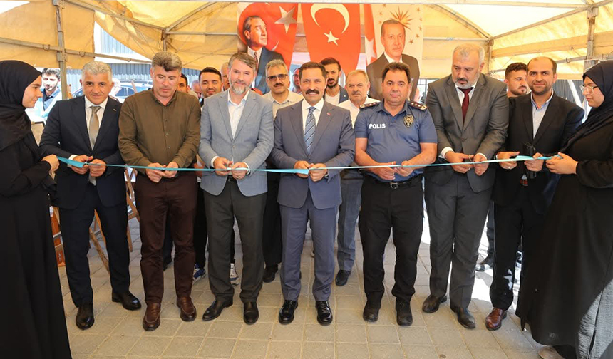 Gazze Sergi 33