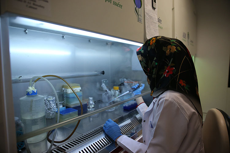 Kkka Aşısının Klinik Öncesi Çalışmalarının Eylüle Kadar Bitirilmesi Planlanıyor 1