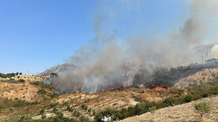 Karabük Ve Antalya'daki Orman Yangınlarına Müdahale Ediliyor 2