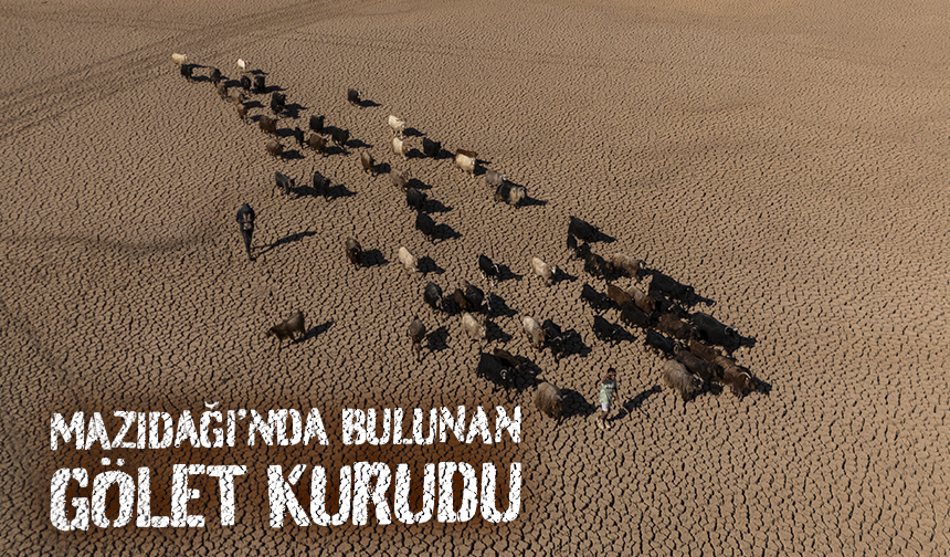 Mazıdağı’nda bulunan gölet kurudu