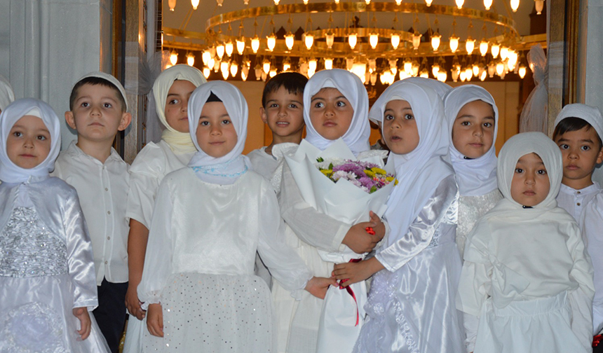 Ardahan 33-1