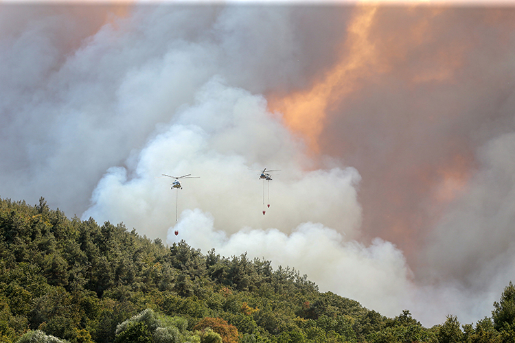 Bursa Ve Hatay'daki Orman Yangınlarına Müdahale Ediliyor (2)