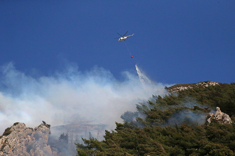 Bursa Ve Hatay'daki Orman Yangınlarına Müdahale Ediliyor (3)