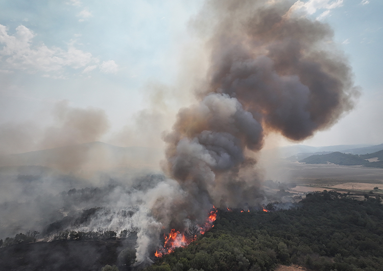 Çanakkale'deki Orman Yangınına Müdahale Sürüyor (3)