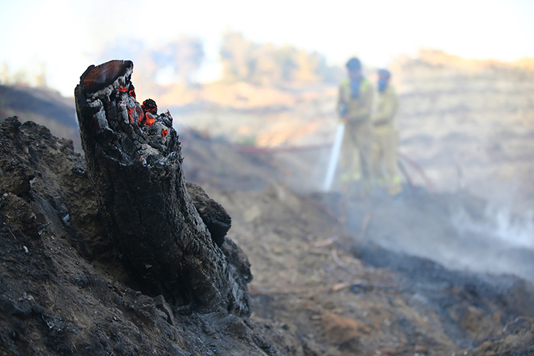 Muğla Ve Adana'daki Orman Yangınları Kontrol Altına Alındı (2)